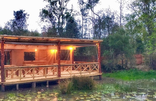 Forest Edge - Foto 68