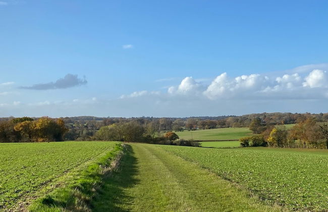 Fern Cottage Yoxford Suffolk - Whole House - Foto 40