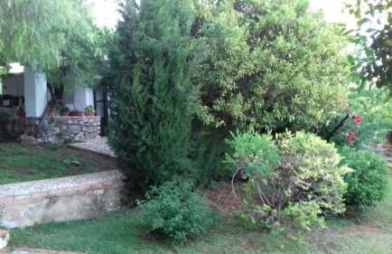 Casas de Almajar - Foto 32