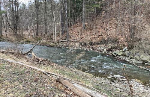 Lakeside Tiny Cozy Retreat - Photo 12