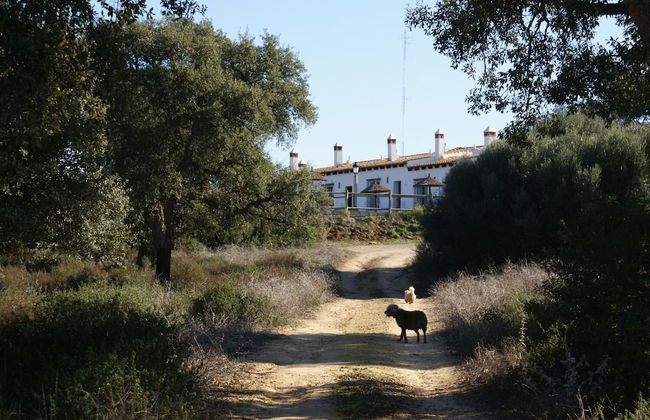 Casa Rural Elanio Azul - Foto 22
