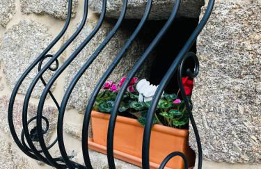 Emiliadourohouse - Foto 47