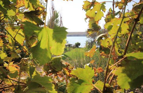 Apartments by the sea Dinjiska, Pag - 9386 - Foto 18