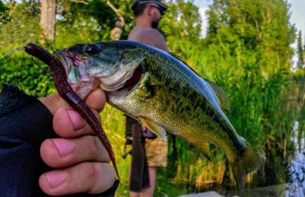 Apartmani Galić - Foto 28