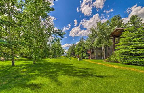 Cozy Driggs Condo about 40 Mi to Grand Teton NP! - Foto 30