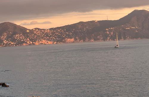 Artista - 10 min stazione - Foto 14