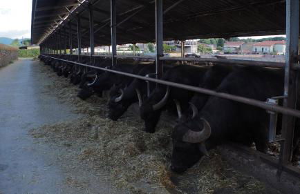 Casa Athena a 100 m dal mare con parcheggio privato gratuito - Foto 32