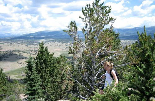 Luxury Cabin Rental with Breathtaking Views in Park County, Colorado - Foto 17