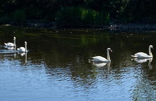 Private detached cottage sleeps 4 - Photo 40