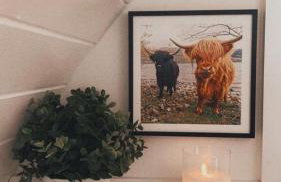 Loch Ness Pods - Foto 15