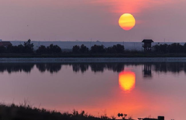 Villa Near Lecce With Garden and Beaches - Foto 26