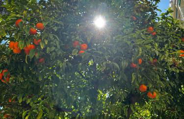 La Dépendance - Foto 19