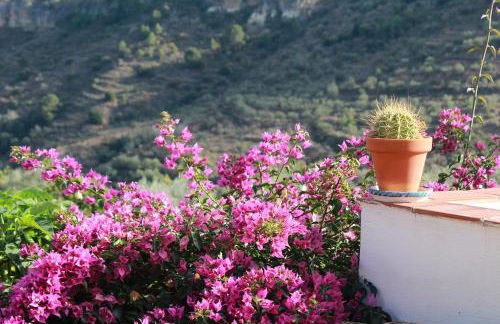 Casa Escondida - Foto 15