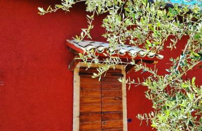 Terre di Cornossa - Foto 1