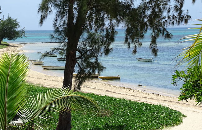 Nitzana Residences & Restaurant - Photo 67