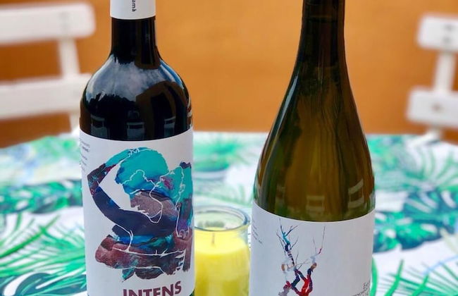 Mas Gelamà - Foto 21