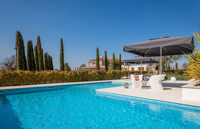 Old Olive I - Foto 17