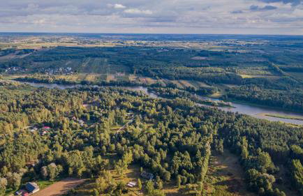 Pasieka Podlaska Tradycja - Foto 4