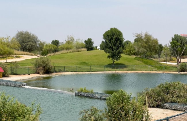Modern 1 BR Golf Vita Damac Hills 1 - Foto 50