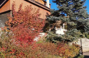 Chalet Genziana - Photo 35
