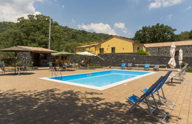 Viola nel Parco - Foto 47