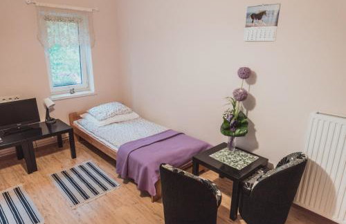 Agroturystyka Pod Modrzewiami - Foto 47