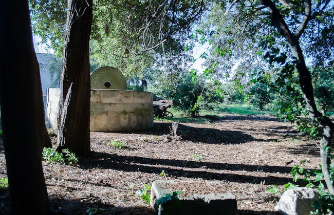 Agriturismo Capani - Photo 20