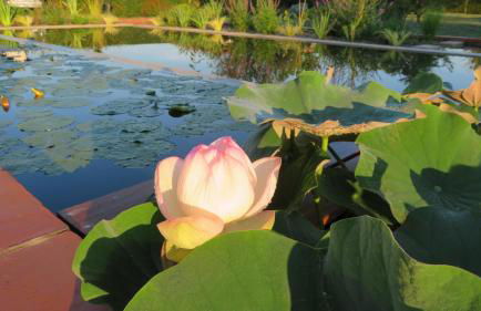 Gîte du Pradel - Foto 1