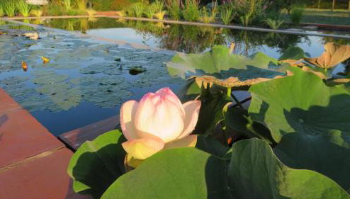 Gîte du Pradel - Foto 1