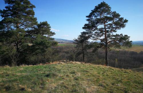 Siedlisko Waliszówka - Foto 12