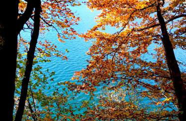 Le Repaire du Loup blanc - Foto 37