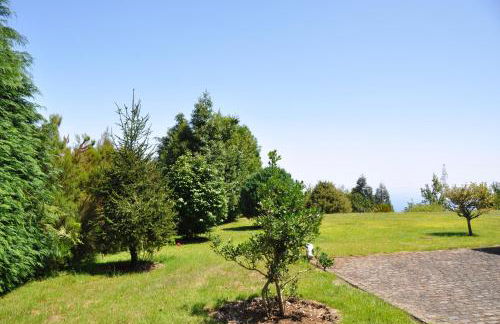 Luxury VILLA CAMÉLIA. Mountains, golf, horses, levada walks. - Foto 46