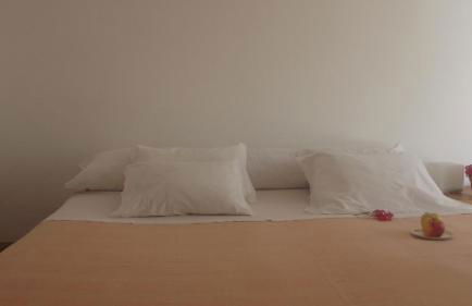 Horta de Torrejais - Foto 23