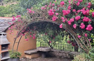 EL VIEJO MOLINO - Foto 20