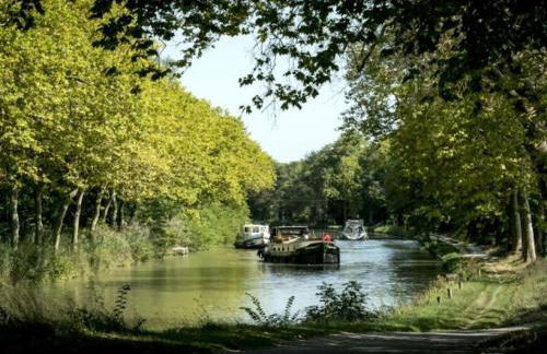 Château Winery la Batisse le minervois - Foto 46