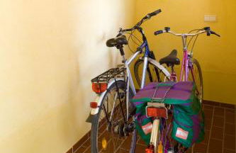 Kulturgasthof Alte Reederei - Foto 8