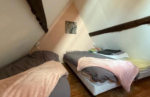 gites de Warincthun - Foto 70