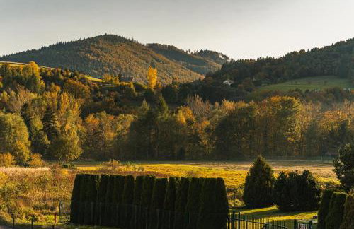 UROK BESKIDÓW LIPOWA - Szczyrk - Relaks, Aktywny Wypoczynek - Foto 39