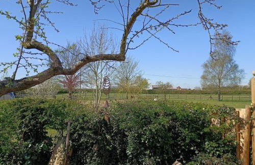 Crown Cabin Wiltshire near Longleat and Bath - Foto 19