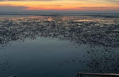 Ferienwohnung Treeneglück - Foto 19