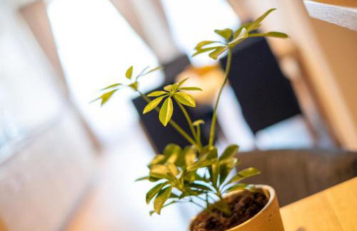 Aparthotel Werdenfels - Foto 43