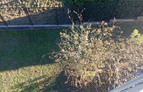 Malpensa monolocale indipendente - Foto 15