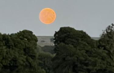 The Vogue Lodge - Photo 26