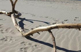 Domki U Sieronia - Foto 36