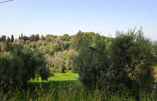 I TRE POETI - Foto 72