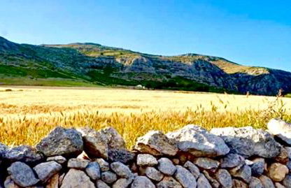 B&B Santa Lucia - Foto 11