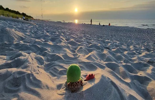 Apartment, Zingst - Foto 69