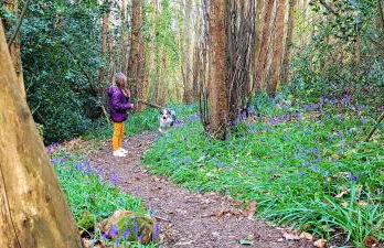 Maison Cosy Rénovée - Puy du Fou - Photo 22