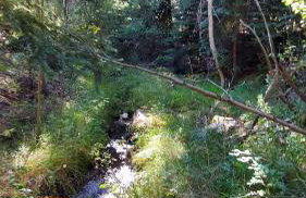Hot Tub and Scenic Views at The Bailey Lodge - Foto 61