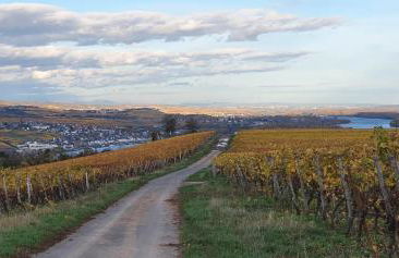 Kastaniennest - Foto 14